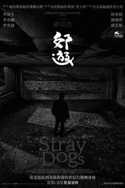 Póster de Stray Dogs