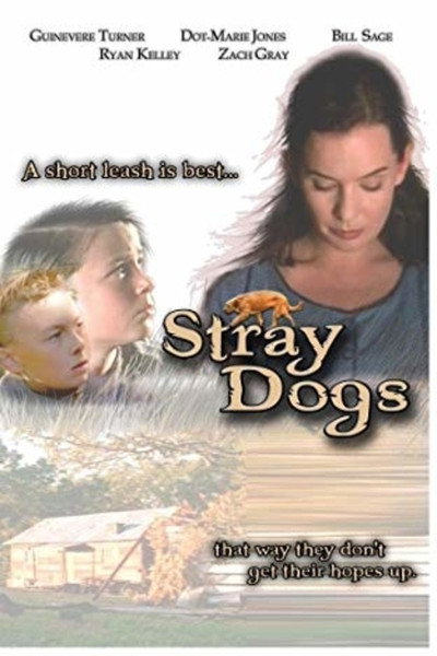 Póster de Stray Dogs