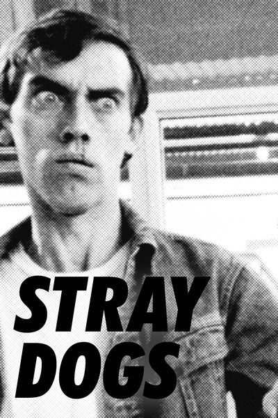 Póster de Stray Dogs