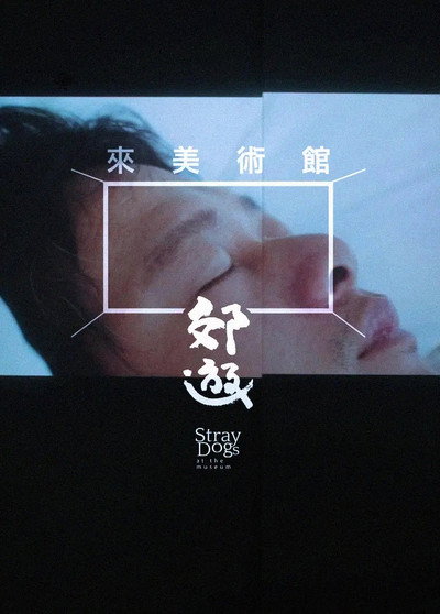 Póster de Stray Dogs at the Museum