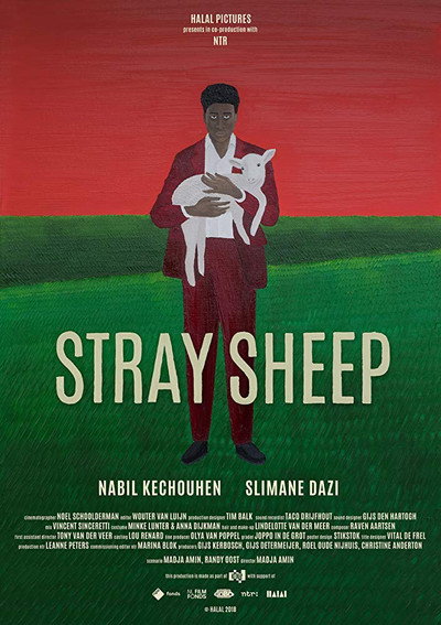 Póster de Stray Sheep