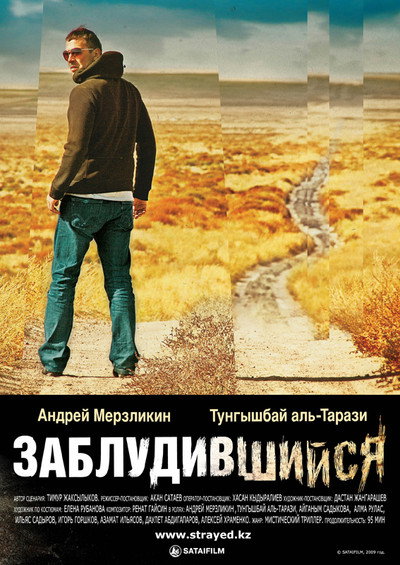 Póster de Strayed