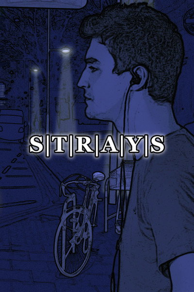 Póster de Strays