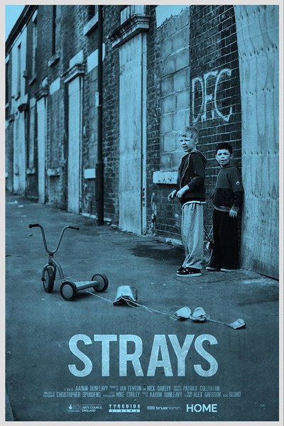 Póster de Strays