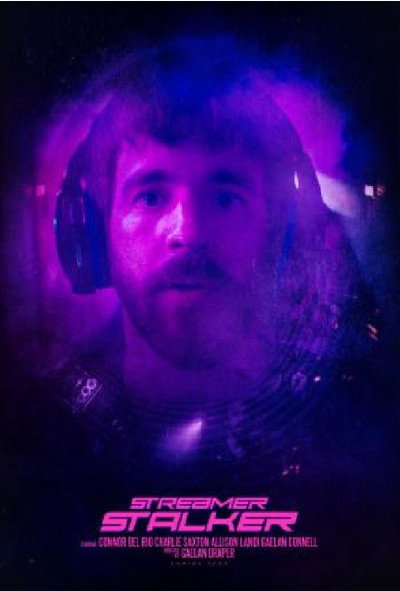 Póster de Streamer Stalker
