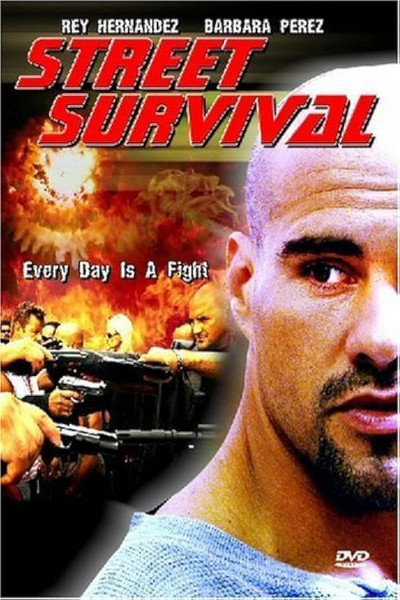 Póster de Street Survival