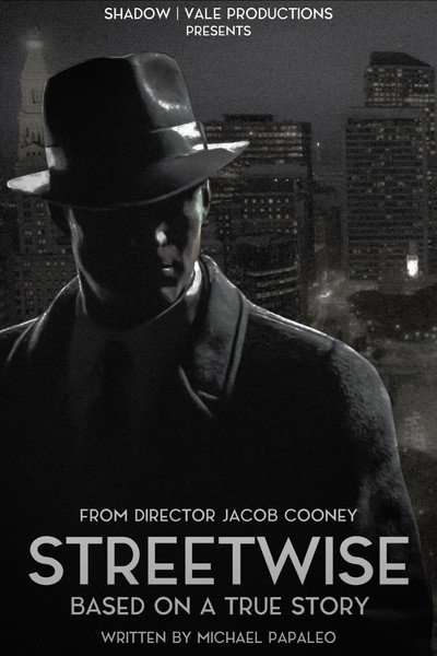 Póster de Streetwise