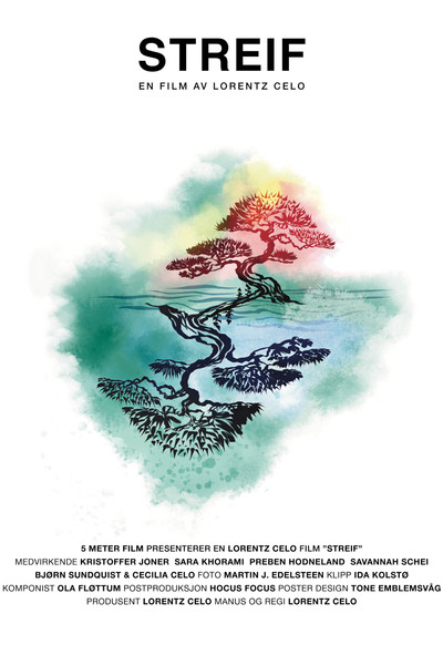 Póster de Streif