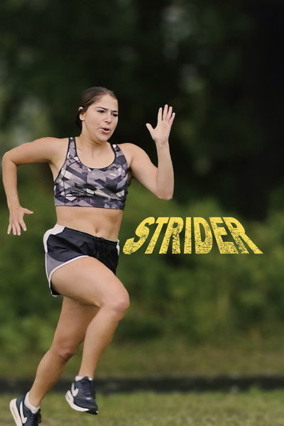 Póster de Strider