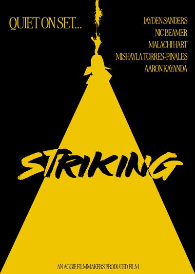 Póster de Striking
