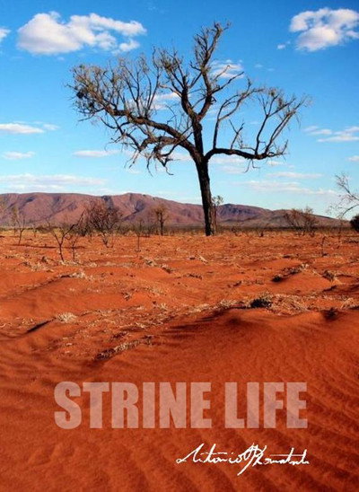 Póster de Strine Life