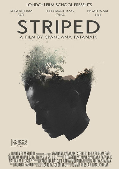 Póster de Striped