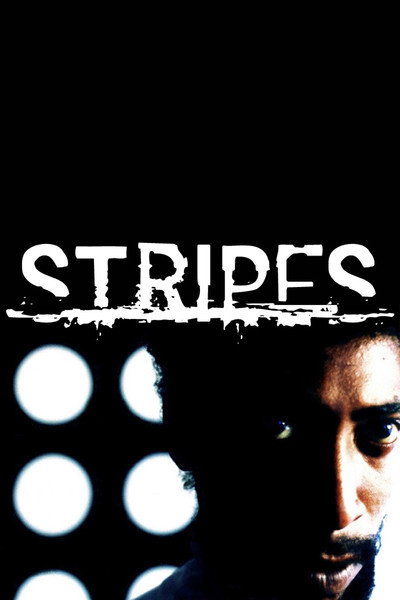 Póster de Stripes