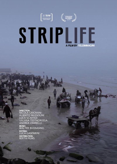 Póster de Striplife