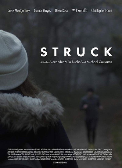 Póster de Struck