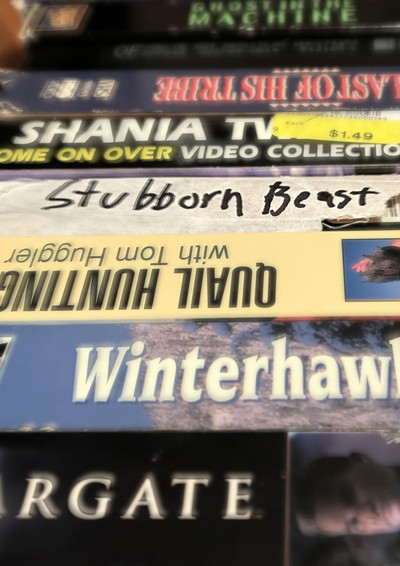 Póster de Stubborn Beast
