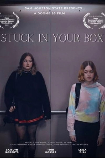 Póster de Stuck in Your Box