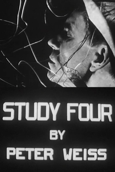 Póster de Study IV: Liberation