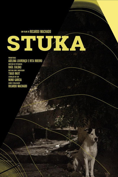 Póster de Stuka