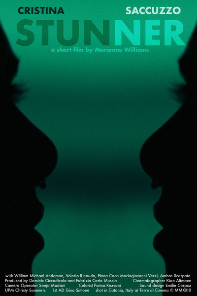 Póster de Stunner