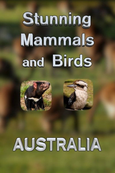 Póster de Stunning Mammals and Birds: Australia