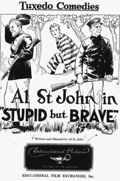 Póster de Stupid, But Brave