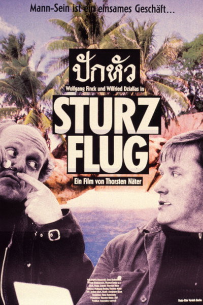 Póster de Sturzflug
