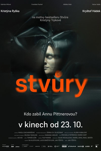 Póster de Stvury