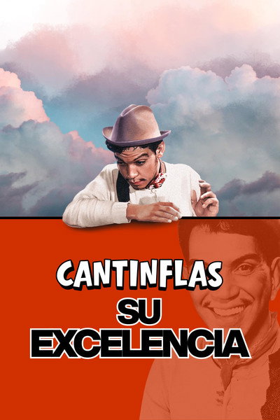 Póster de Su excelencia