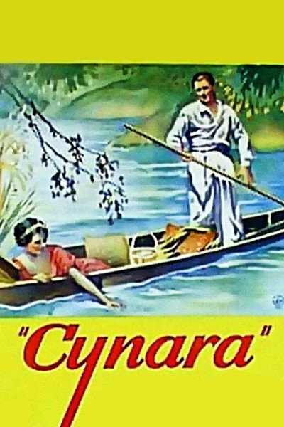 Póster de Su único pecado