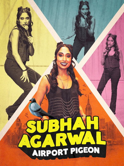 Póster de Subhah Agarwal: Airport Pigeon