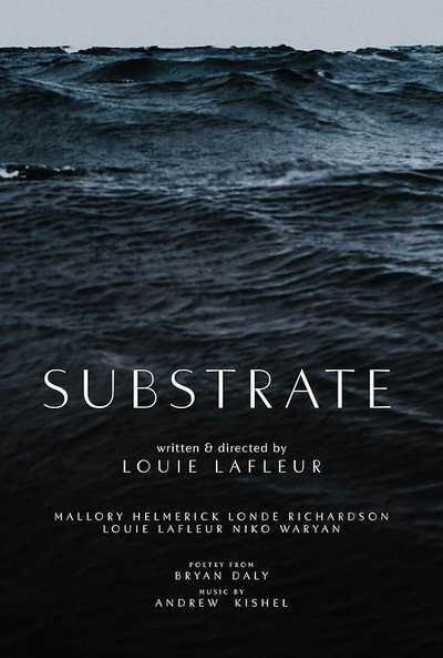 Póster de Substrate