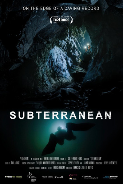 Póster de Subterranean
