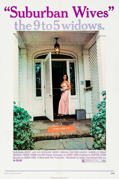Póster de Suburban Wives