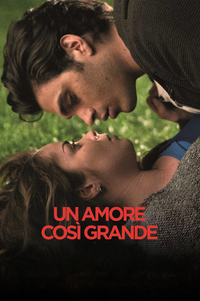 Póster de Such a Great Love
