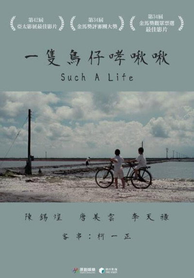 Póster de Such a Life