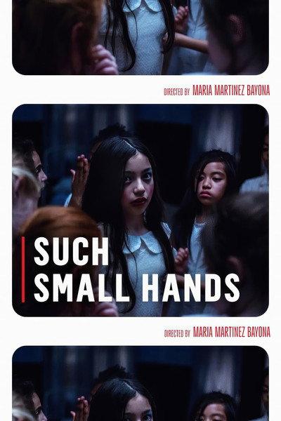 Póster de Such Small Hands