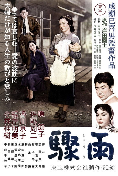 Póster de Sudden Rain