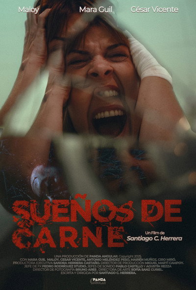 Póster de Sueños de Carne
