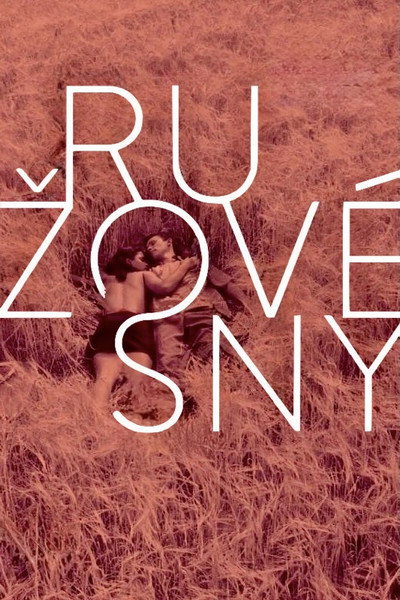 Póster de Sueños rosados