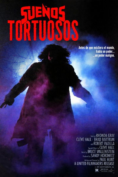 Póster de Sueños tortuosos