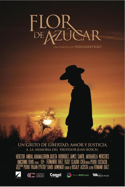 Póster de Sugar Fields
