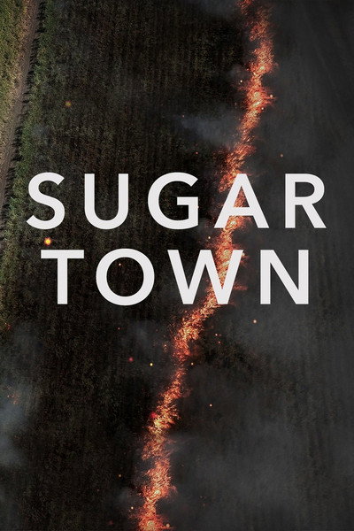 Póster de Sugar Town