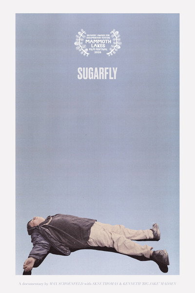 Póster de Sugarfly