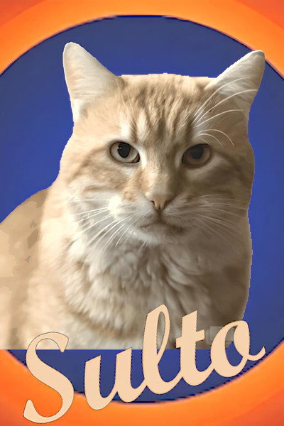 Póster de Sulto