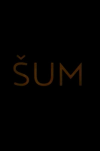 Póster de Sum/Interference
