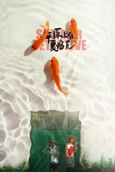 Póster de Summer Detective