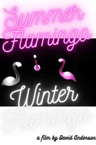 Póster de Summer Flamingo Winter Flamingo