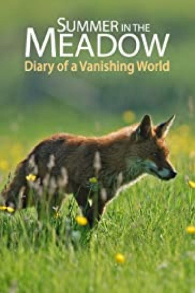 Póster de Summer in the Meadow: Diary of a Vanishing World