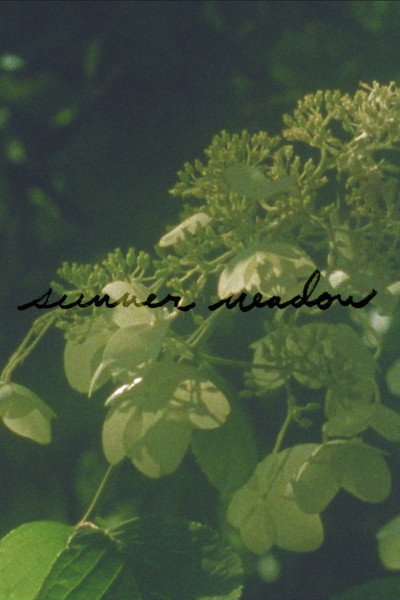 Póster de Summer Meadow